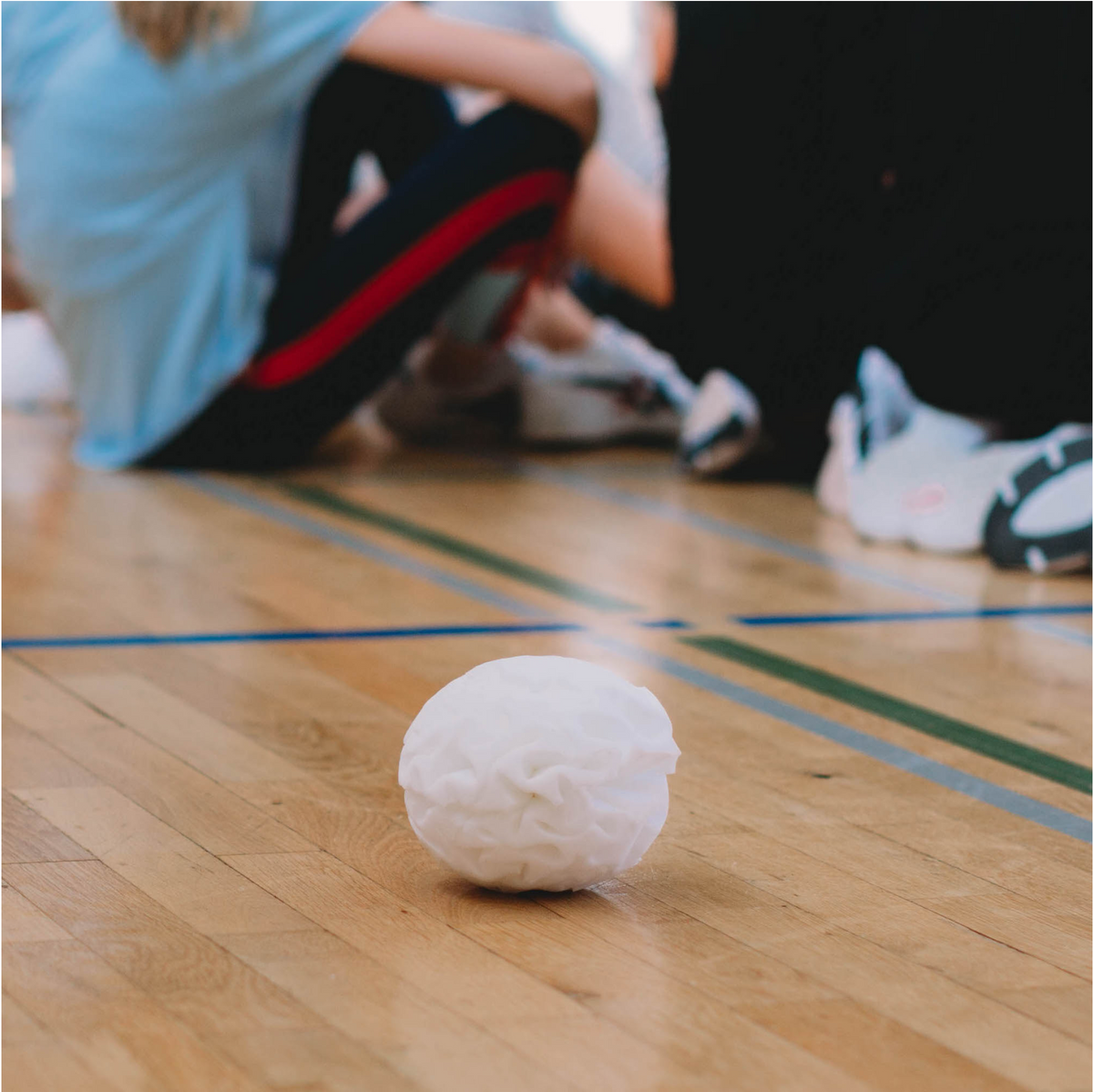 1 Trockener Schneeball