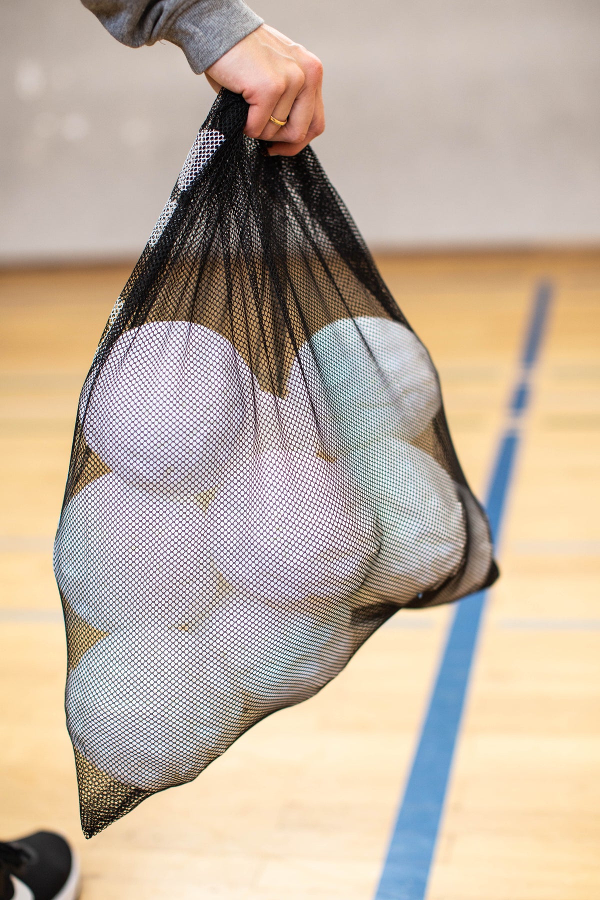 Ballnetz klein (10)