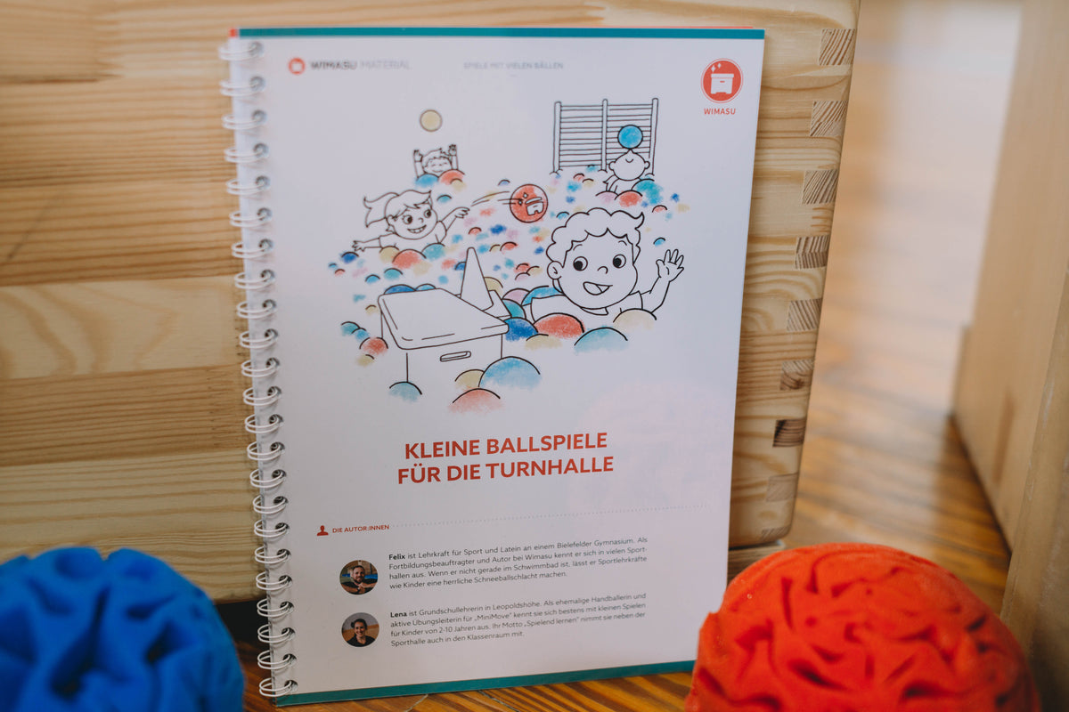 Spielesammlung: "Kleine Spiele mit vielen Bällen"