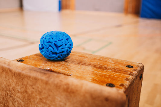 1 Trockener Schneeball